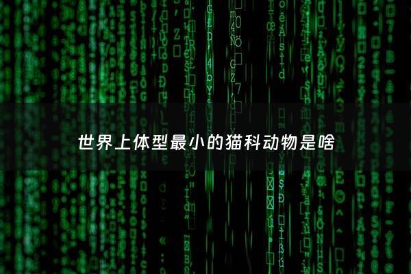 世界上体型最小的猫科动物是啥 - 体型最小的大型猫科动物