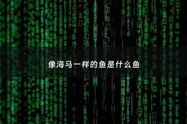 像海马一样的鱼是什么鱼 - 像海马的动物