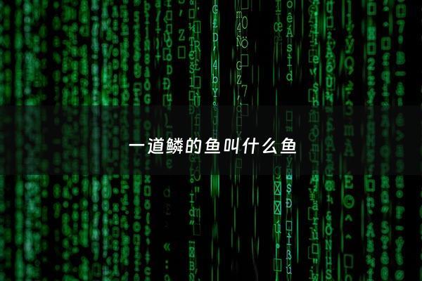 一道鳞的鱼叫什么鱼 - 一道鳞的鱼叫什么鱼名字