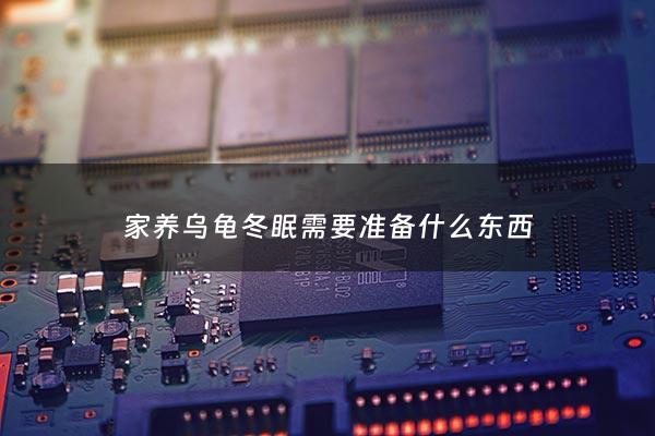 家养乌龟冬眠需要准备什么东西 - 养乌龟冬眠怎么处理