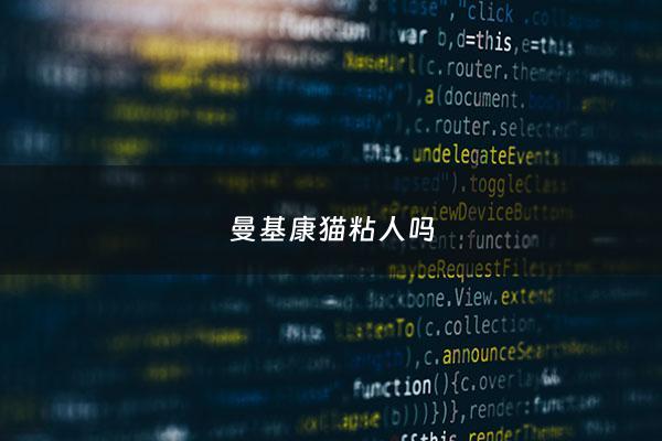 曼基康猫粘人吗 - 曼基康猫品相怎么看