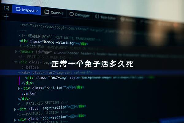 正常一个兔子活多久死 - 一只兔子可以活多长时间
