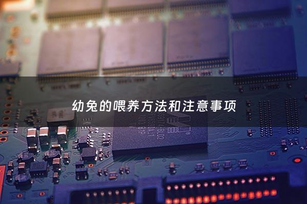 幼兔的喂养***和注意事项 - 幼兔喂养什么食物好