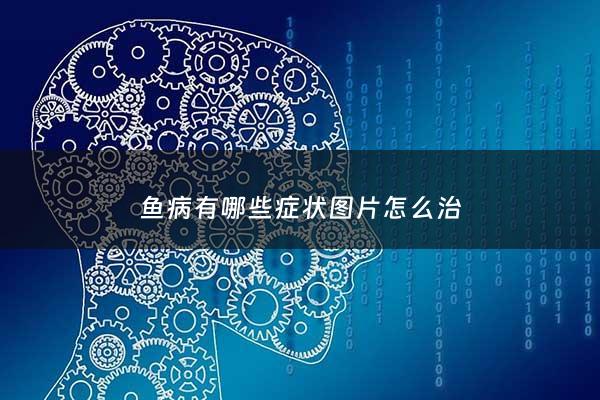 鱼病有哪些症状图片怎么治 - 鱼病图片及鱼病名称