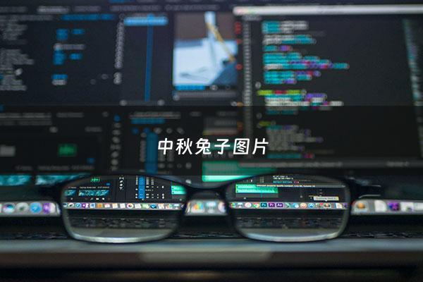 中秋兔子图片 - 中秋兔子图片高清大图