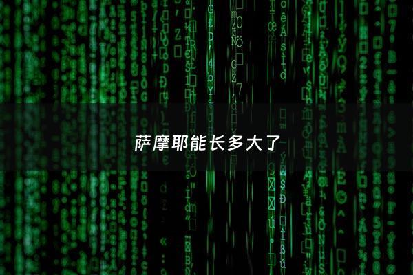萨摩耶能长多大了 - 萨摩耶一般可以长多大