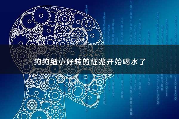 狗狗细小好转的征兆开始喝水了 - 狗狗细小喝水几小时不吐算是恢复