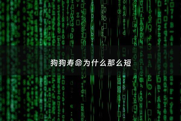狗狗寿命为什么那么短 - 狗的寿命为什么这么短