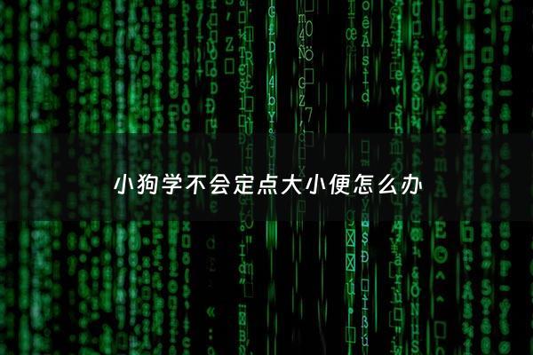 小狗学不会定点大小便怎么办 - 如果狗狗一直学不会定点大小便怎么办