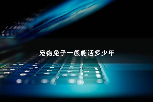 宠物兔子一般能活多少年 - 宠物兔能活几年?