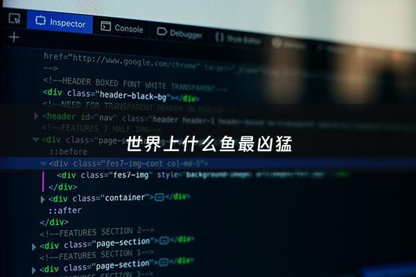 世界上什么鱼最凶猛 - 世界上什么鱼最强大