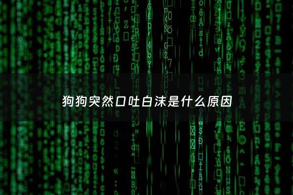 狗狗突然口吐白沫是什么原因 - 狗狗突然狂吐口水伴有白沫