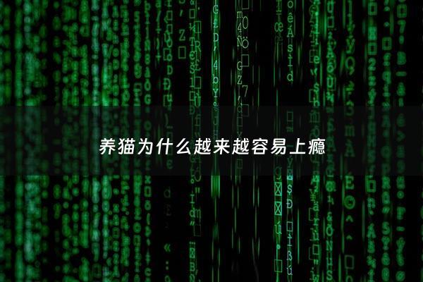 养猫为什么越来越容易上瘾 - 养猫为什么越来越容易上瘾的原因