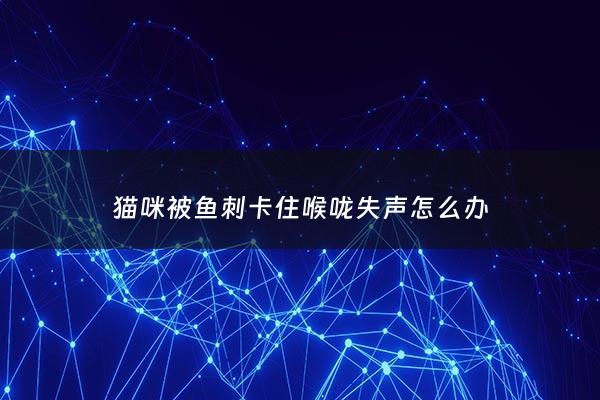 猫咪被鱼刺卡住喉咙失声怎么办 - 猫给鱼刺卡喉咙