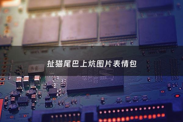 扯猫尾巴上炕图片表情包 - 拽猫尾巴上炕是何出处