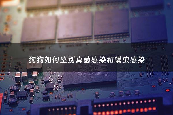 狗狗如何鉴别真菌感染和螨虫感染 - 狗狗真菌和螨虫哪个严重