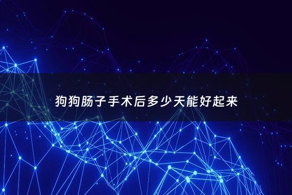 狗狗肠子***后多少天能好起来 - 狗狗肠子出来了怎么办***费多少