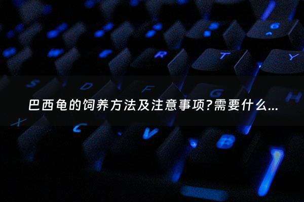 巴西龟的饲养***及注意事项?需要什么样的石头铺在鱼缸里 - 巴西龟缸里养什么植物最好