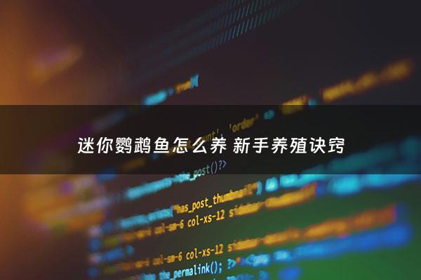 迷你鹦鹉鱼怎么养 新手养殖诀窍 - 迷你鹦鹉鱼怎么养 新手养殖诀窍图解