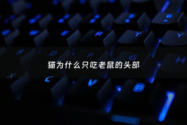 猫为什么只吃老鼠的头部 - 为什么猫吃老鼠呢