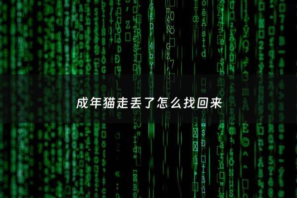 成年猫走丢了怎么找回来 - 成年猫跑出去还认道回来吗?