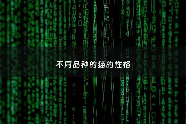 不同品种的猫的性格 - 不同种类的猫的性格