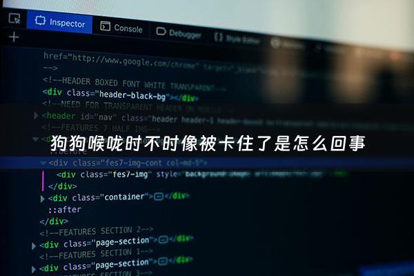 狗狗喉咙时不时像被卡住了是怎么回事 - 狗狗一直喉咙好像被什么卡住一样