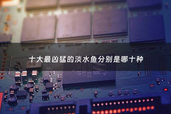 十大最凶猛的淡水鱼分别是哪十种 - 淡水鱼中最凶猛的鱼种