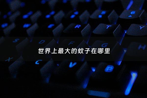 世界上最大的蚊子在哪里 - 世界上最大的蚊子在哪个***