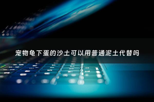 宠物龟下蛋的沙土可以用普通泥土代替吗 - 乌龟下蛋是用沙子好还是泥土