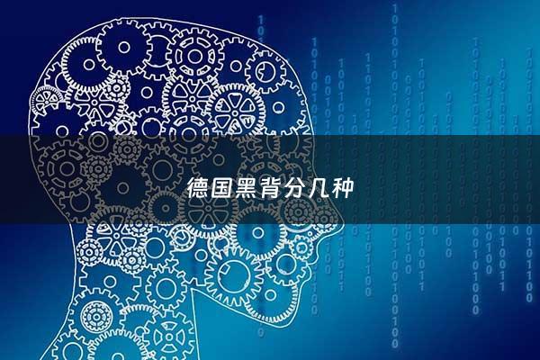 德国黑背分几种 - 德国黑背的优缺点