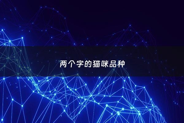 两个字的猫咪品种 - 2个字的猫品种