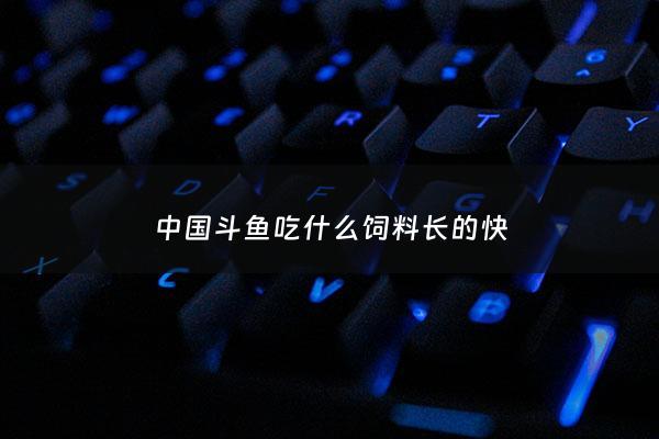 ***斗鱼吃什么饲料长的快 - ***斗鱼饲料***