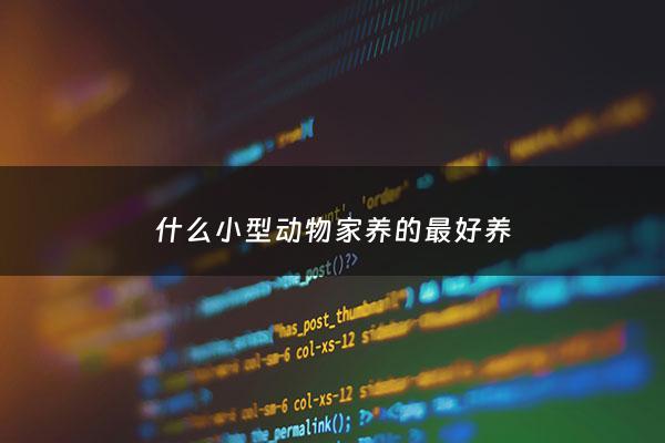 什么小型动物家养的最好养 - 什么小型宠物好养干净便宜