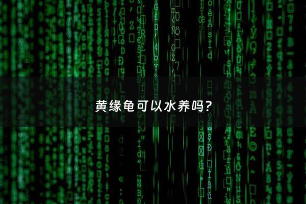 黄缘龟可以水养吗? - 黄缘龟水养好吗