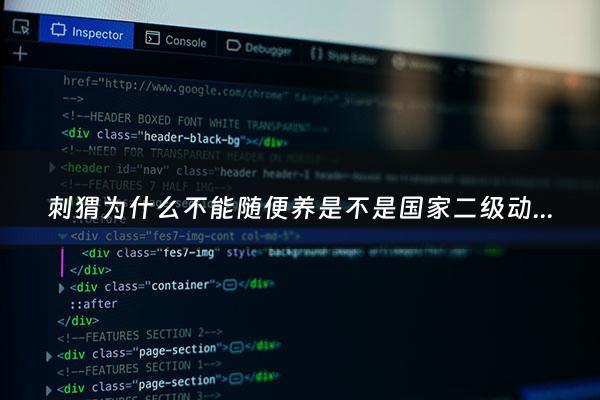 刺猬为什么不能随便养是不是***二级动物 - 刺猬为什么不吉利