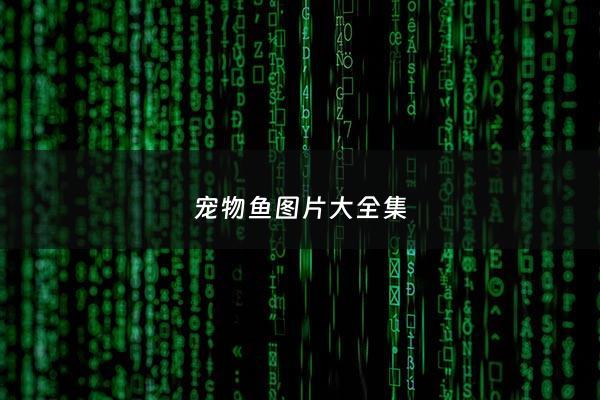 宠物鱼图片大全集 - 宠物鱼图片名称大全