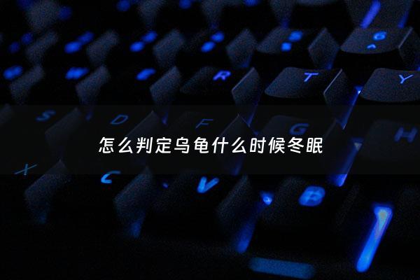 怎么判定乌龟什么时候冬眠 - 怎么判断乌龟开始冬眠了