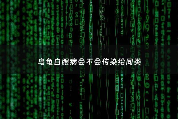 乌龟白眼病会不会传染给同类 - 乌龟白眼病会不会传染给同类的人