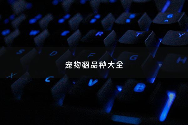 宠物貂品种大全 - 貂 宠物