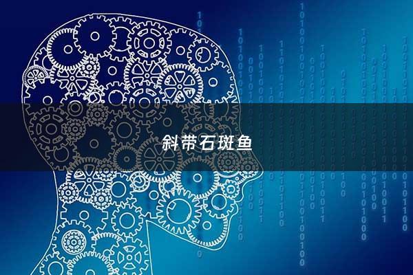 斜带石斑鱼 - 斜带石斑鱼COI基因