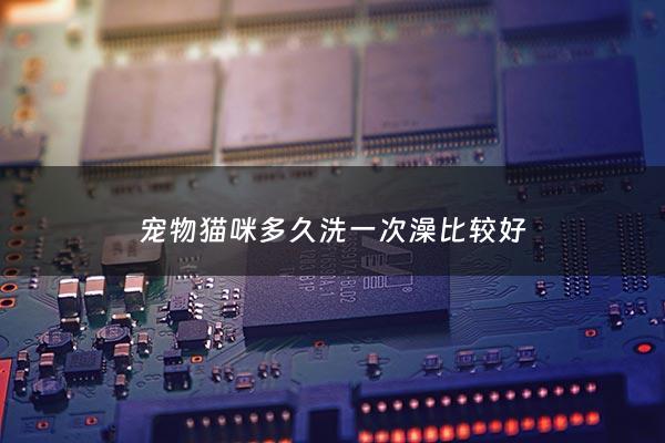 宠物猫咪多久洗一次澡比较好 - 宠物猫多久洗一次澡合适