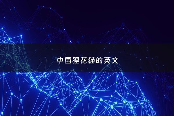 ***狸花猫的英文 - 狸花猫怎么翻译