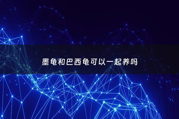 墨龟和巴西龟可以一起养吗 - 墨龟和巴西龟哪个好养