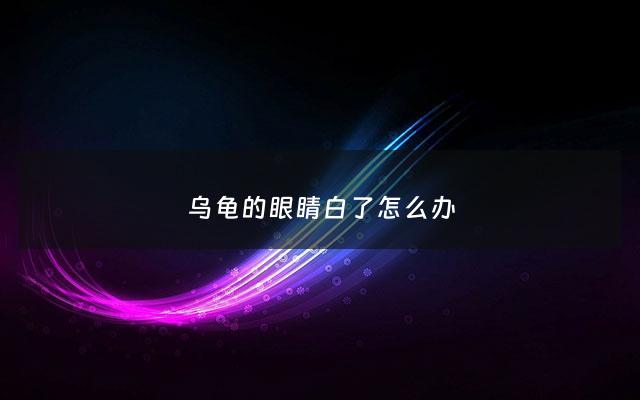 乌龟的眼睛白了怎么办 - 乌龟的眼睛变白怎么办