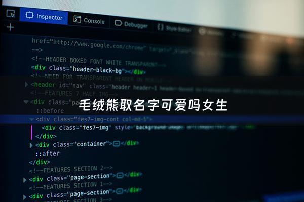 毛绒熊取名字可爱吗女生 - 毛绒熊取名字可爱吗女生网名