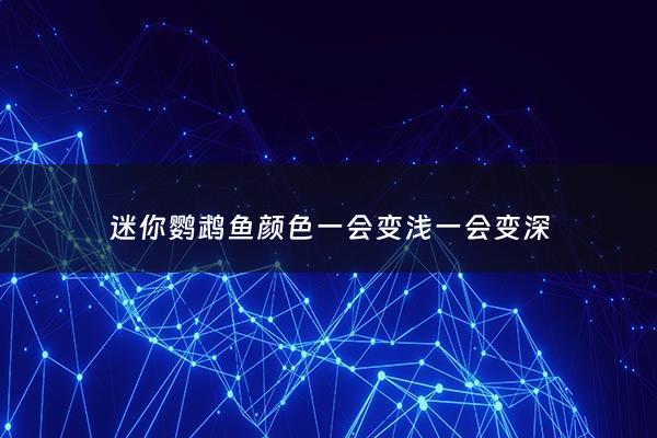 迷你鹦鹉鱼颜色一会变浅一会变深 - 迷你鹦鹉鱼为什么变色