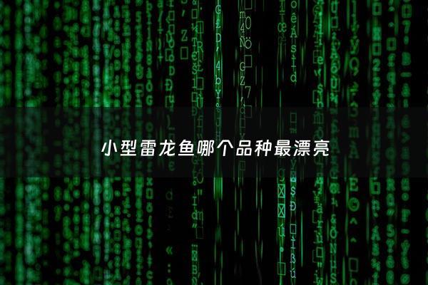 小型雷龙鱼哪个品种最漂亮 - 小型雷龙鱼什么品种好看