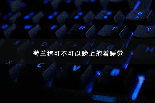 荷兰猪可不可以晚上抱着睡觉 - 荷兰猪可以放卧室吗