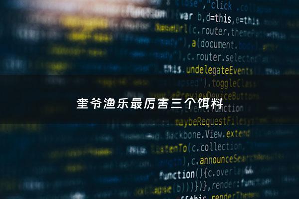 奎爷渔乐最厉害三个饵料 - 奎爷副官